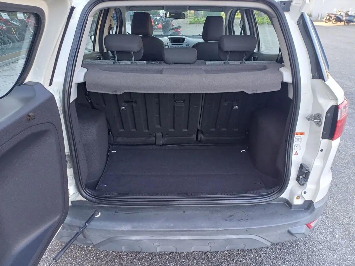 Ford EcoSport usata a Alessandria (4)