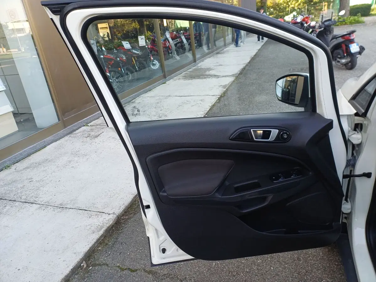 Ford EcoSport usata a Alessandria (5)