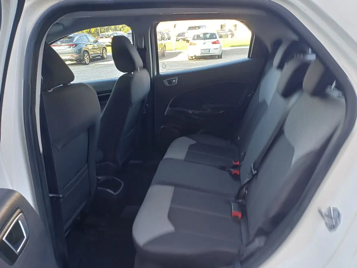 Ford EcoSport usata a Alessandria (7)