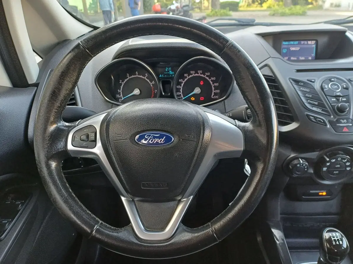 Ford EcoSport usata a Alessandria (9)