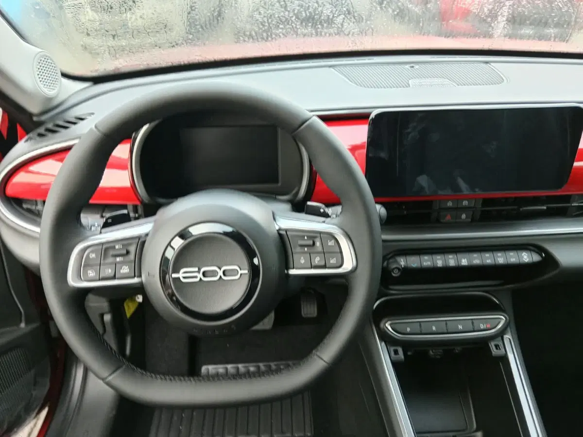 Fiat 600 nuova a Alessandria (7)