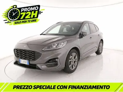 Ford Kuga 1.5 EcoBlue 120 CV aut. 2WD ST-Line X Design del 2020 usata a Roma
