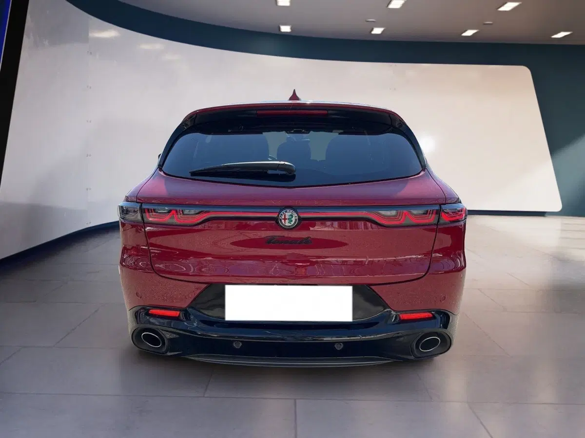 Alfa Romeo Tonale usata a Torino (7)