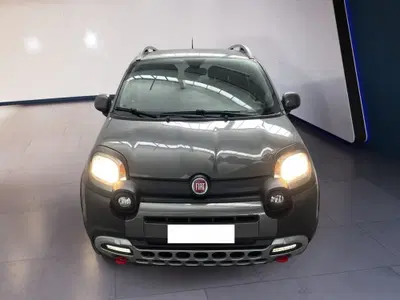 Fiat Panda 0.9 TwinAir Turbo S&S 4x4 City Cross del 2023 usata a Torino