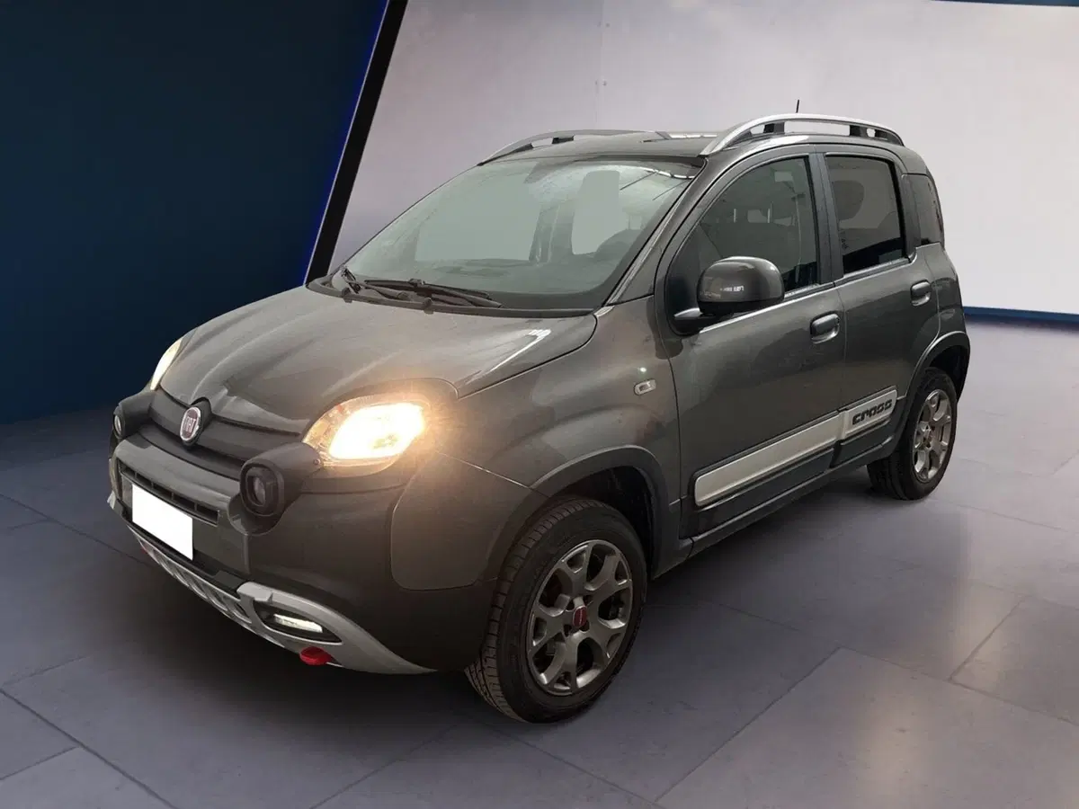 Fiat Panda usata a Torino (2)