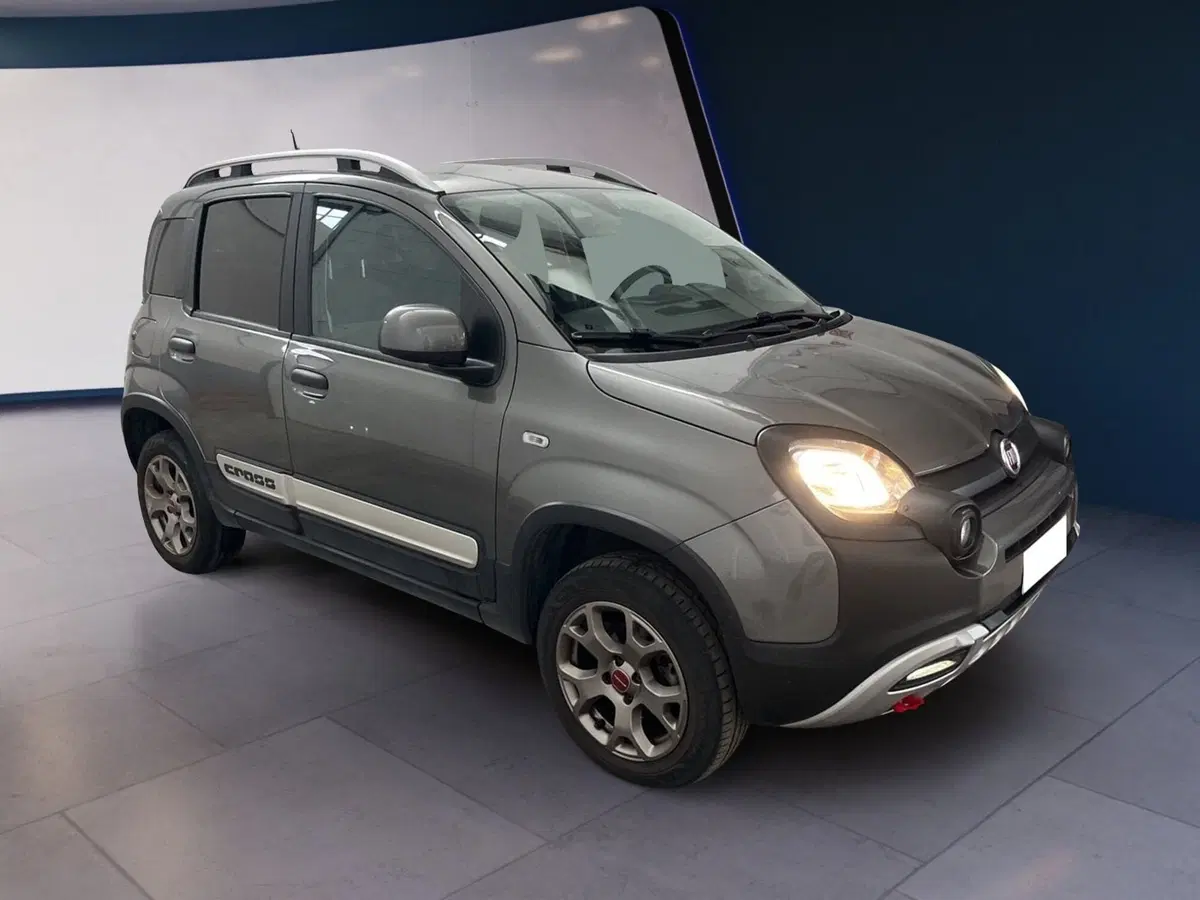 Fiat Panda usata a Torino (3)