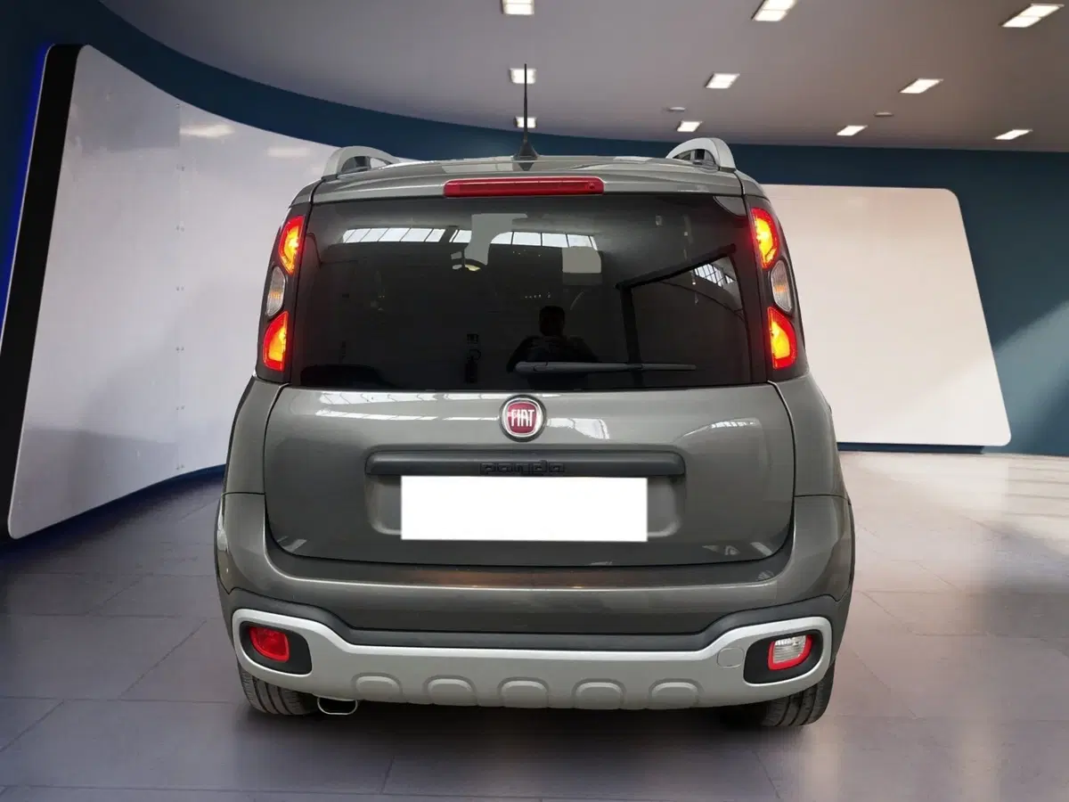 Fiat Panda usata a Torino (5)