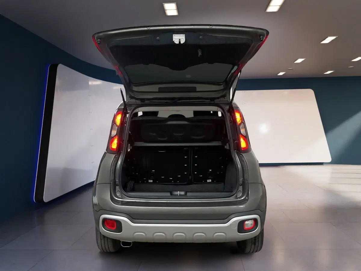 Fiat Panda usata a Torino (7)
