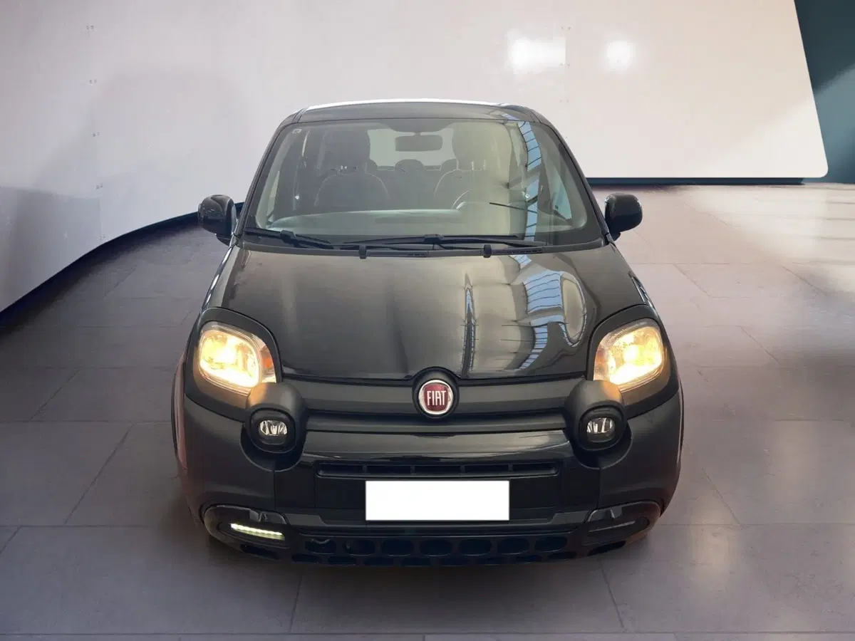 Fiat Panda usata a Torino