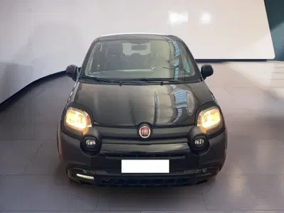 Fiat Panda 1.0 FireFly S&S Hybrid City Cross del 2024 usata a Torino