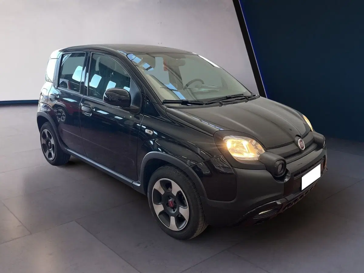Fiat Panda usata a Torino (2)