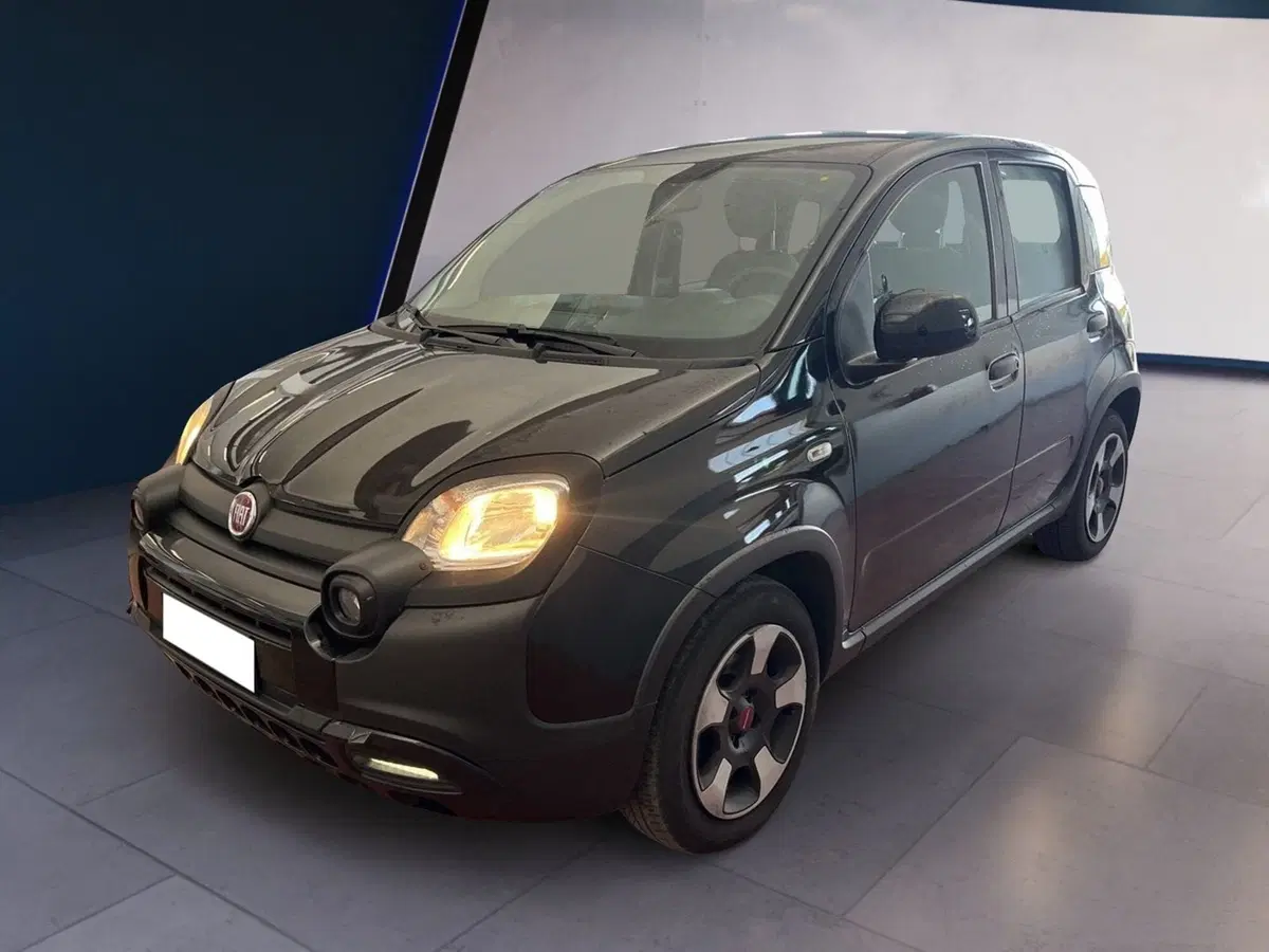 Fiat Panda usata a Torino (3)