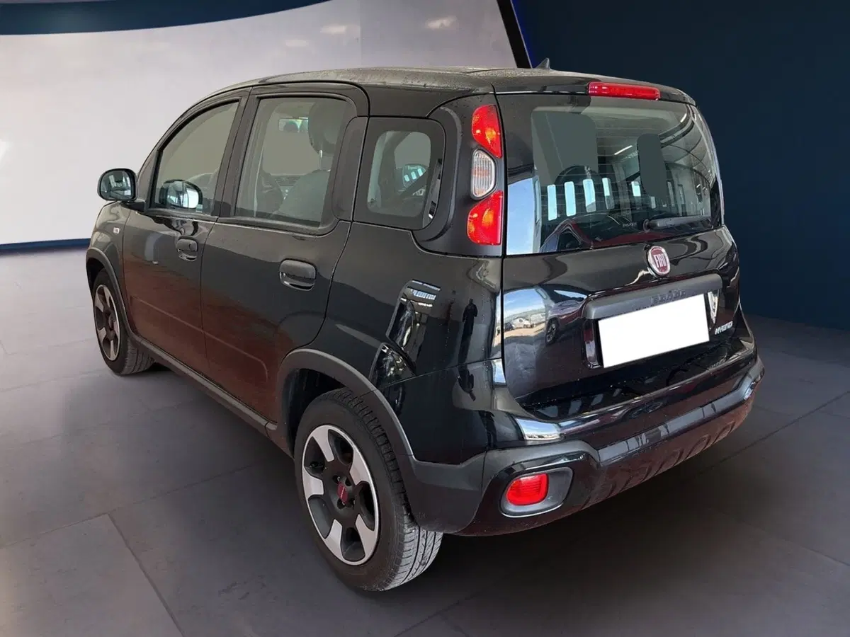 Fiat Panda usata a Torino (4)