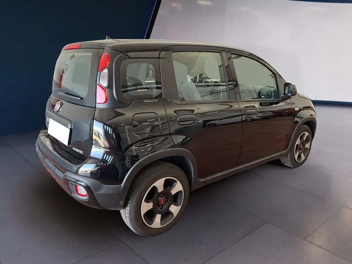 Fiat Panda usata a Torino (6)