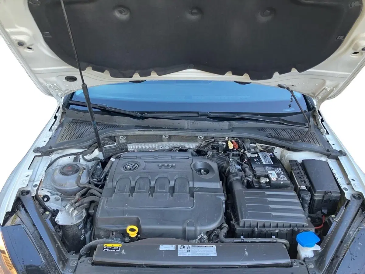 Volkswagen Golf usata a Bologna (13)