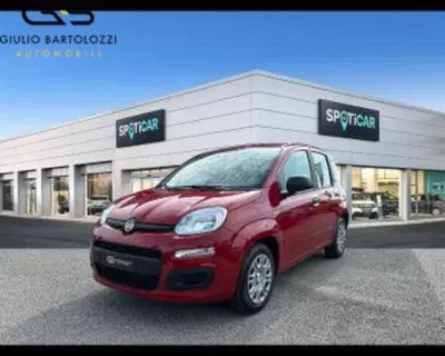 Fiat Panda Cross Cross 1.0 FireFly S&S Hybrid del 2025 usata a Prato