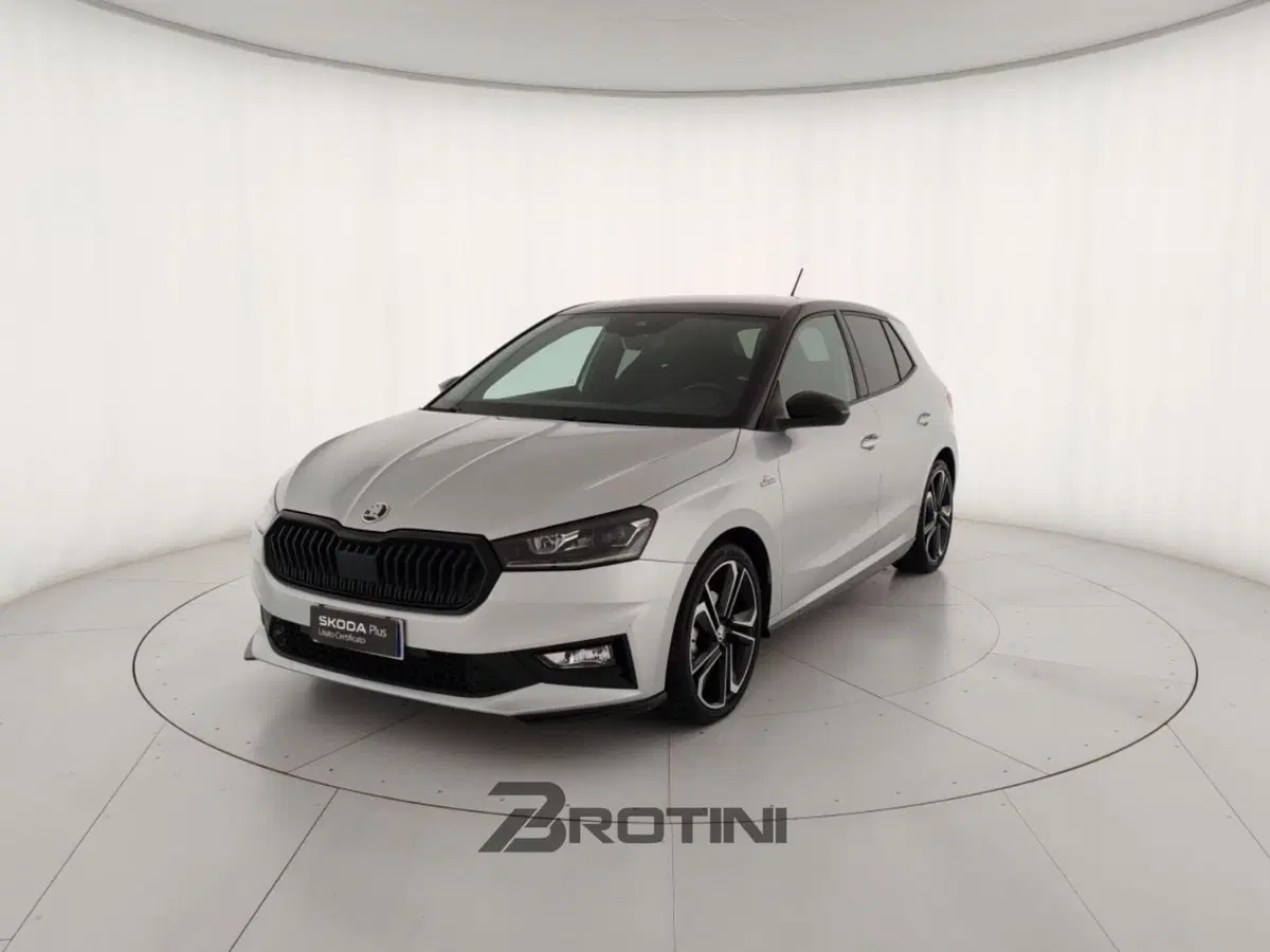 Skoda Fabia usata a Massa-Carrara