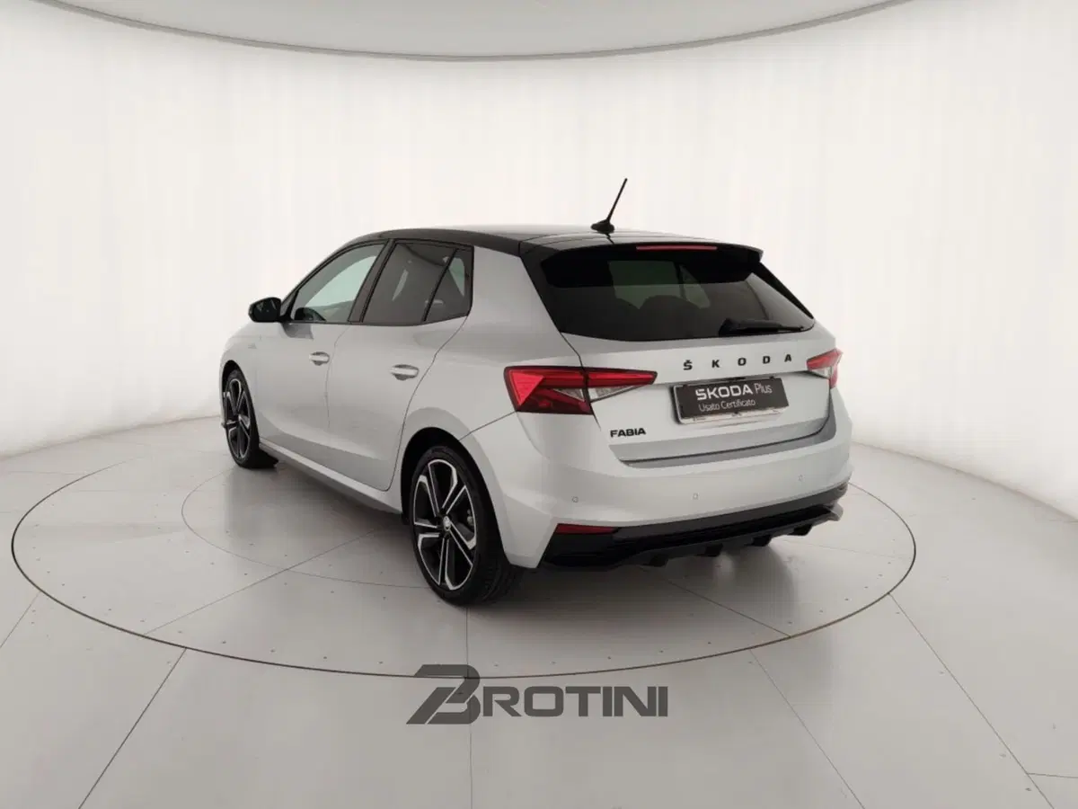 Skoda Fabia usata a Massa-Carrara (2)