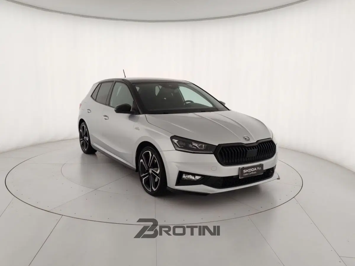Skoda Fabia usata a Massa-Carrara (4)