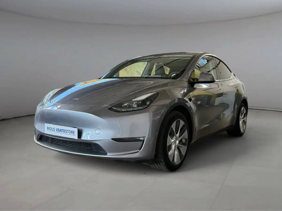 Tesla Model Y usata a Palermo