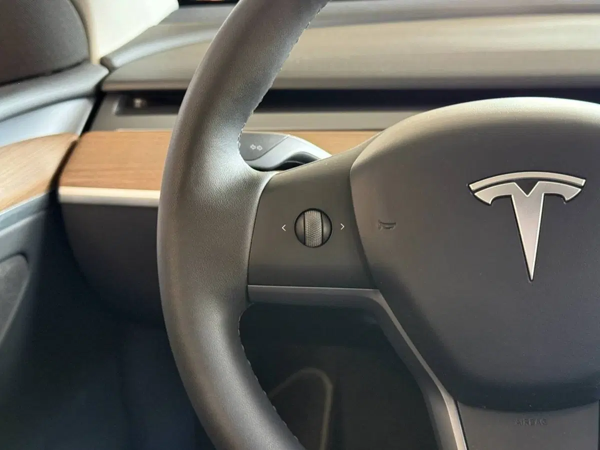 Tesla Model Y usata a Palermo (16)