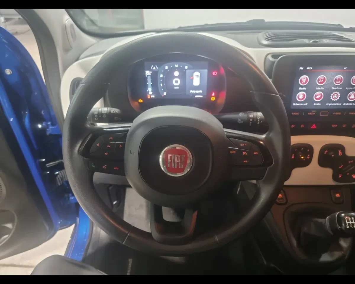 Fiat Pandina usata a Caserta (13)