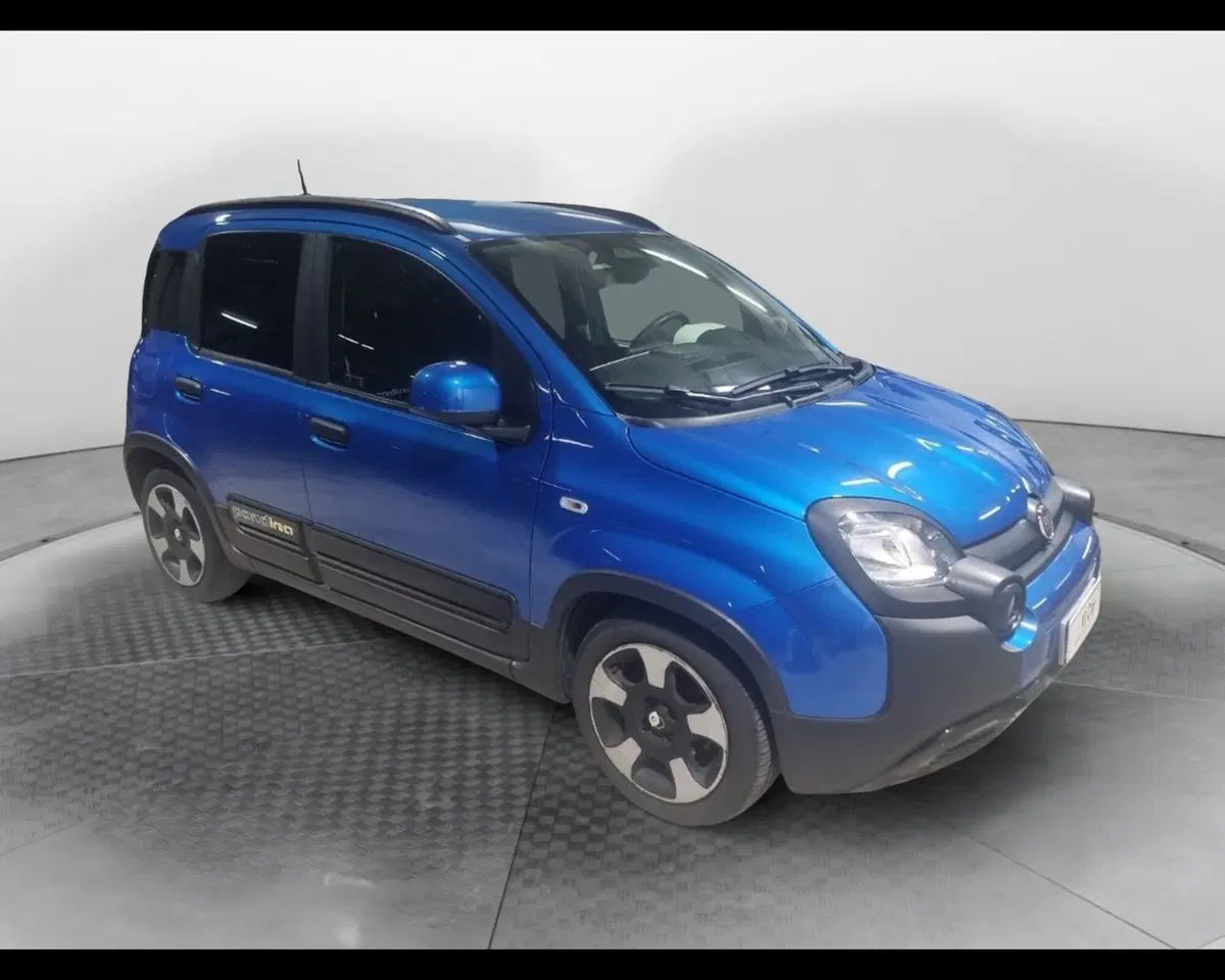 Fiat Pandina usata a Caserta (3)
