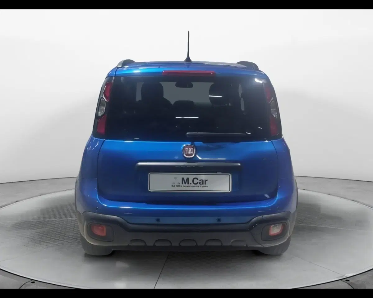 Fiat Pandina usata a Caserta (6)