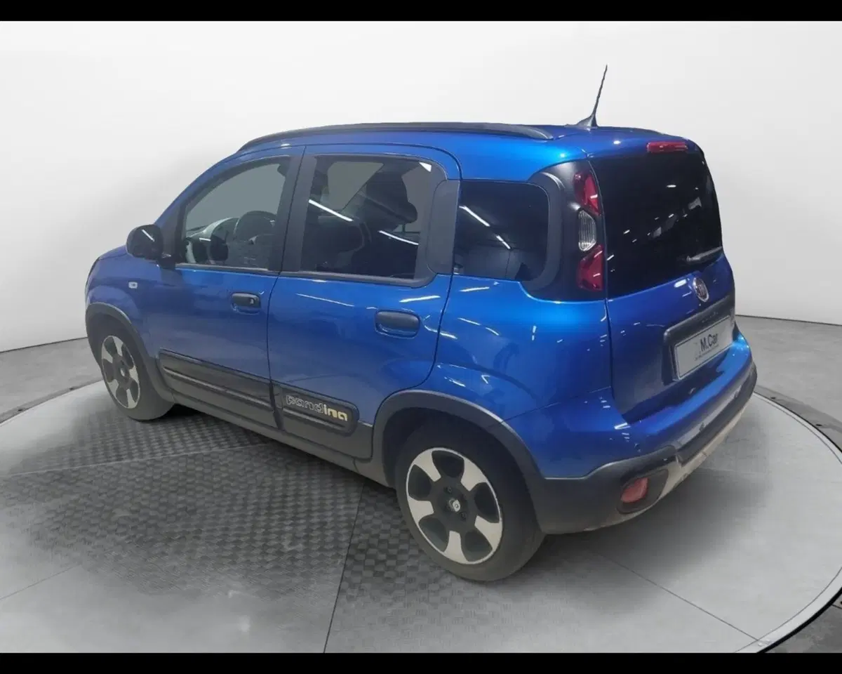 Fiat Pandina usata a Caserta (7)