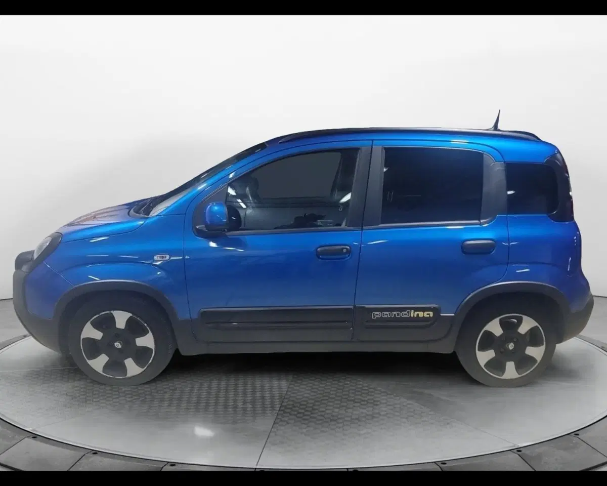 Fiat Pandina usata a Caserta (8)