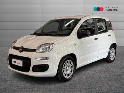 Fiat Pandina 1.0 firefly hybrid Pop s&s 65cv del 2026 usata a Empoli