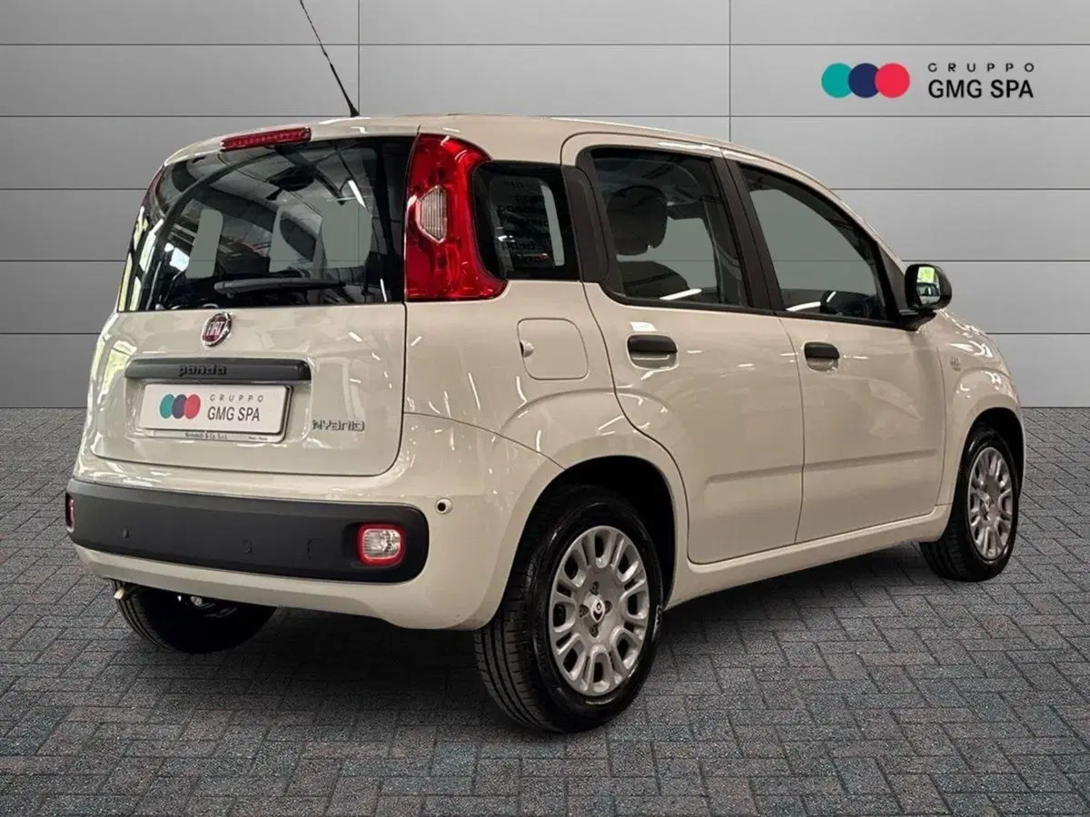 Fiat Pandina usata a Firenze (3)