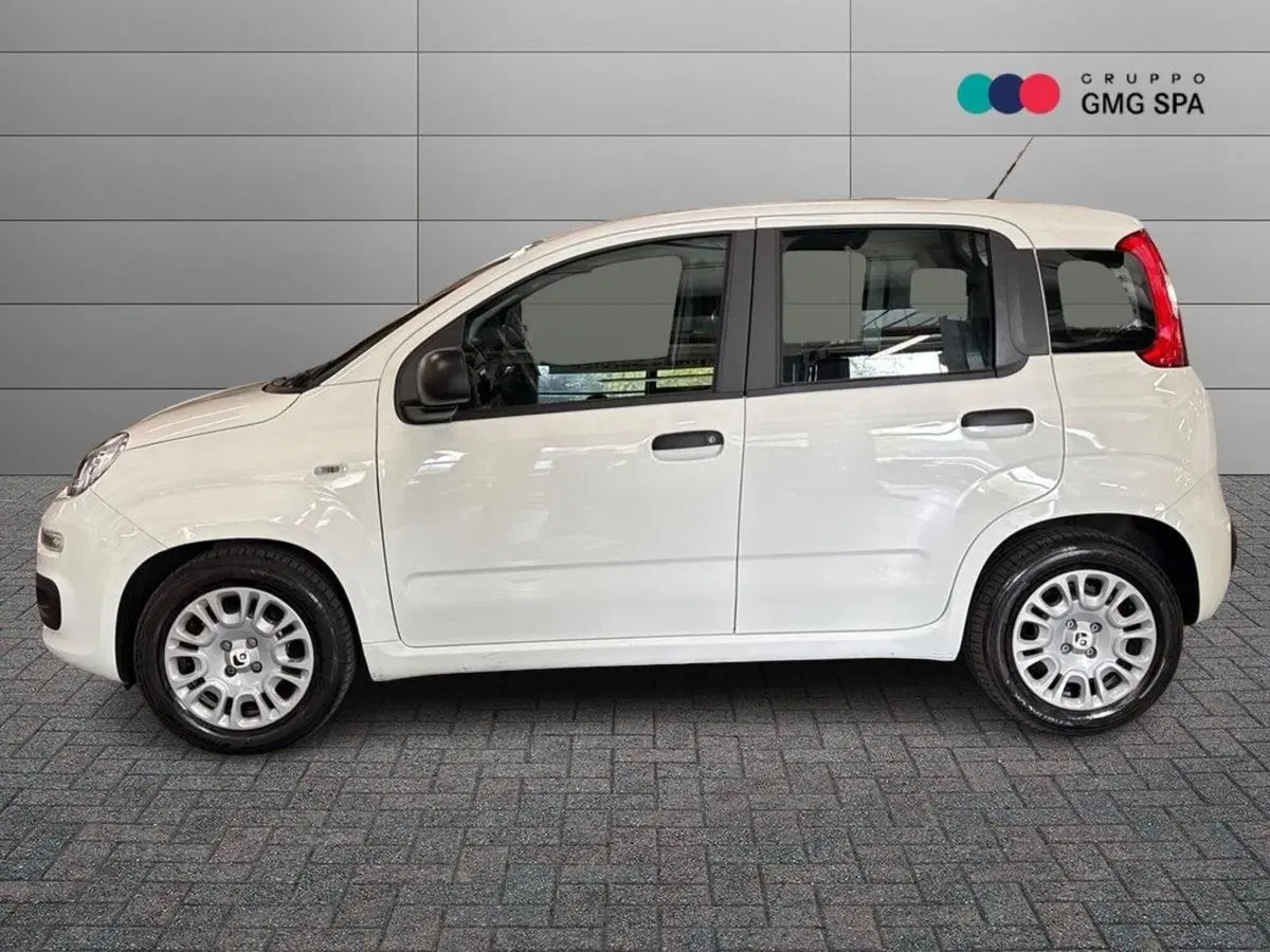 Fiat Pandina usata a Firenze (5)