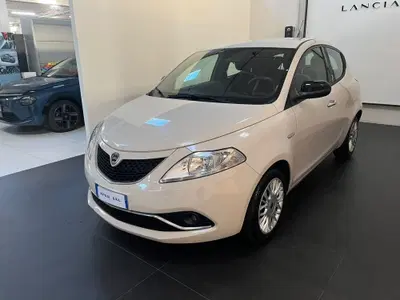 Lancia Ypsilon 1.3 MJT 16V 95 CV 5 porte S&S Gold del 2016 usata a Altopascio