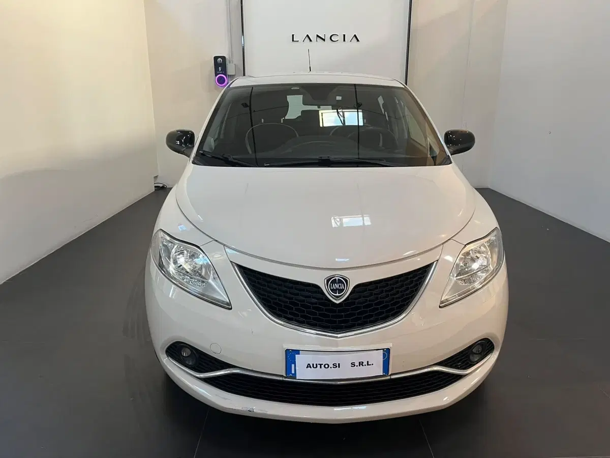 Lancia Ypsilon usata a Lucca (2)