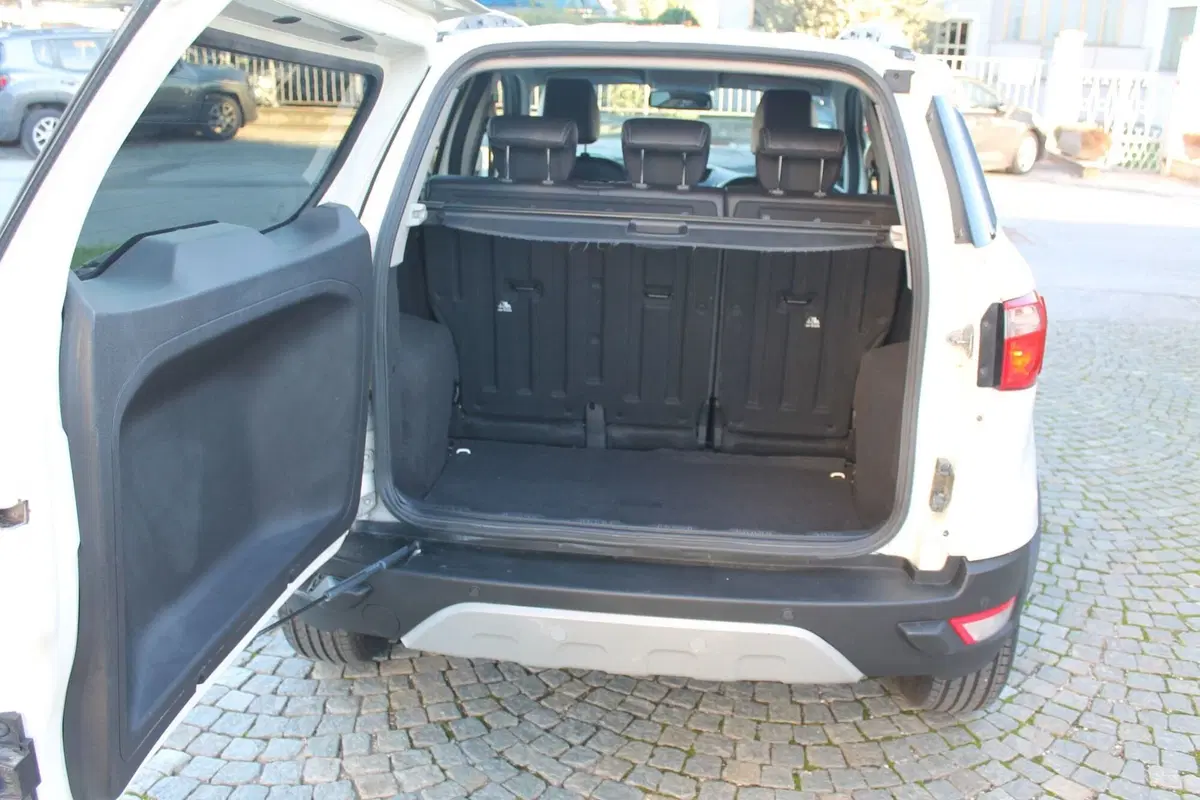Ford EcoSport usata a Cuneo (11)