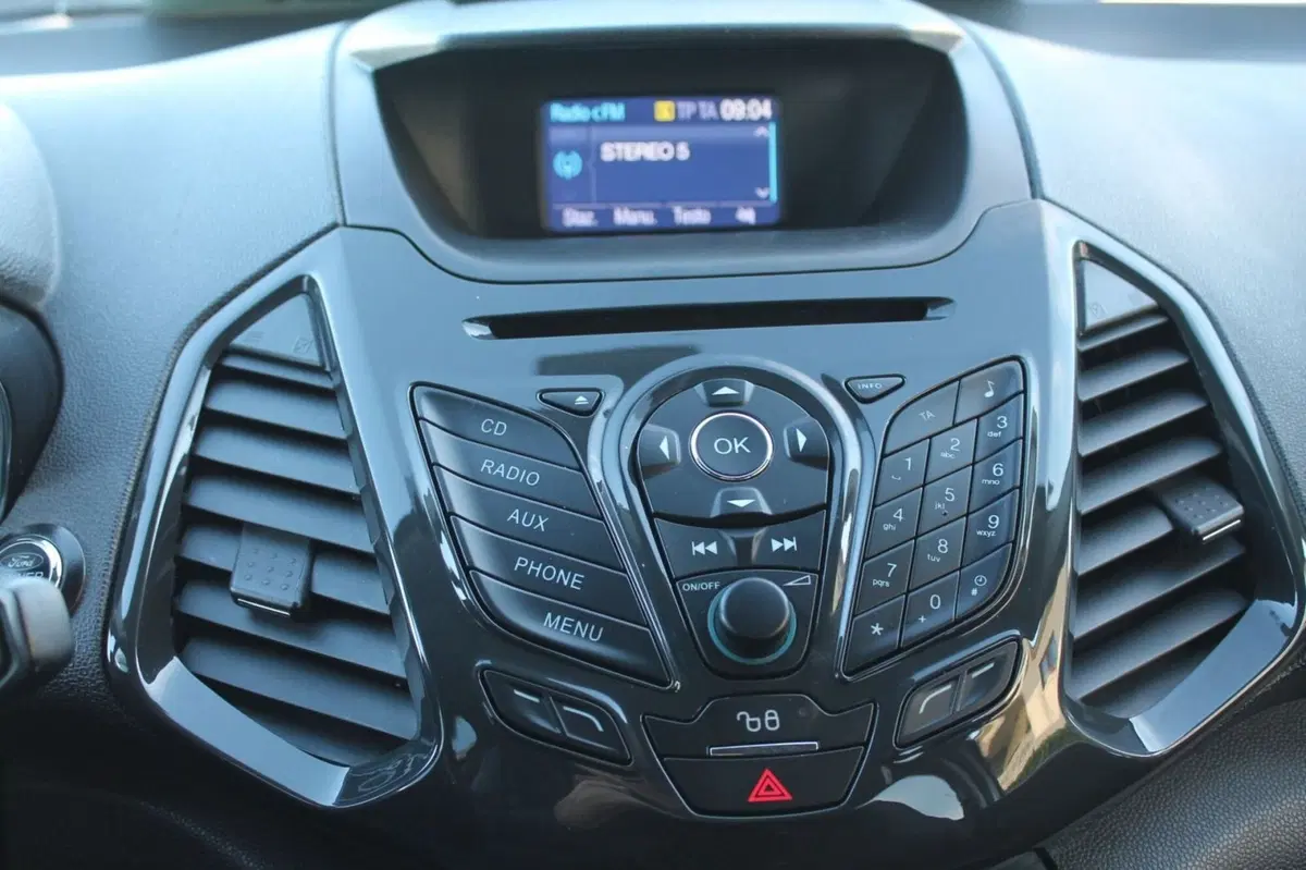Ford EcoSport usata a Cuneo (13)
