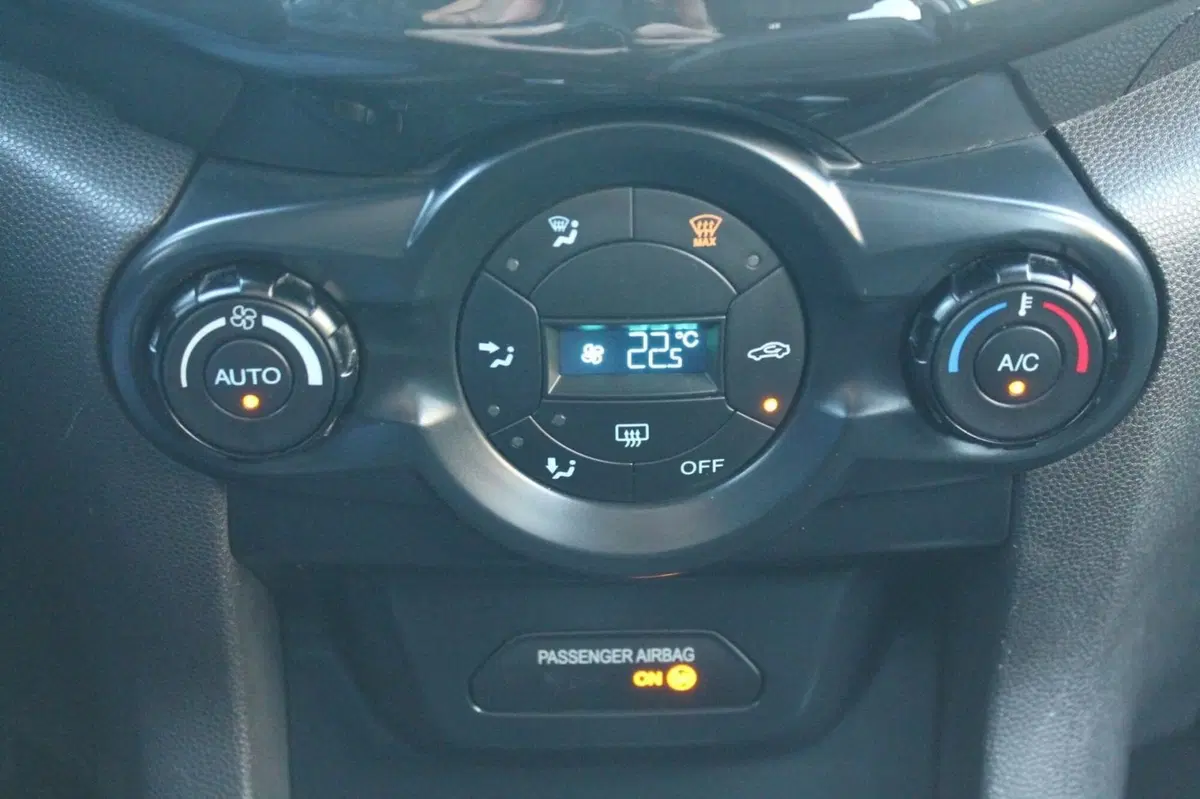 Ford EcoSport usata a Cuneo (14)