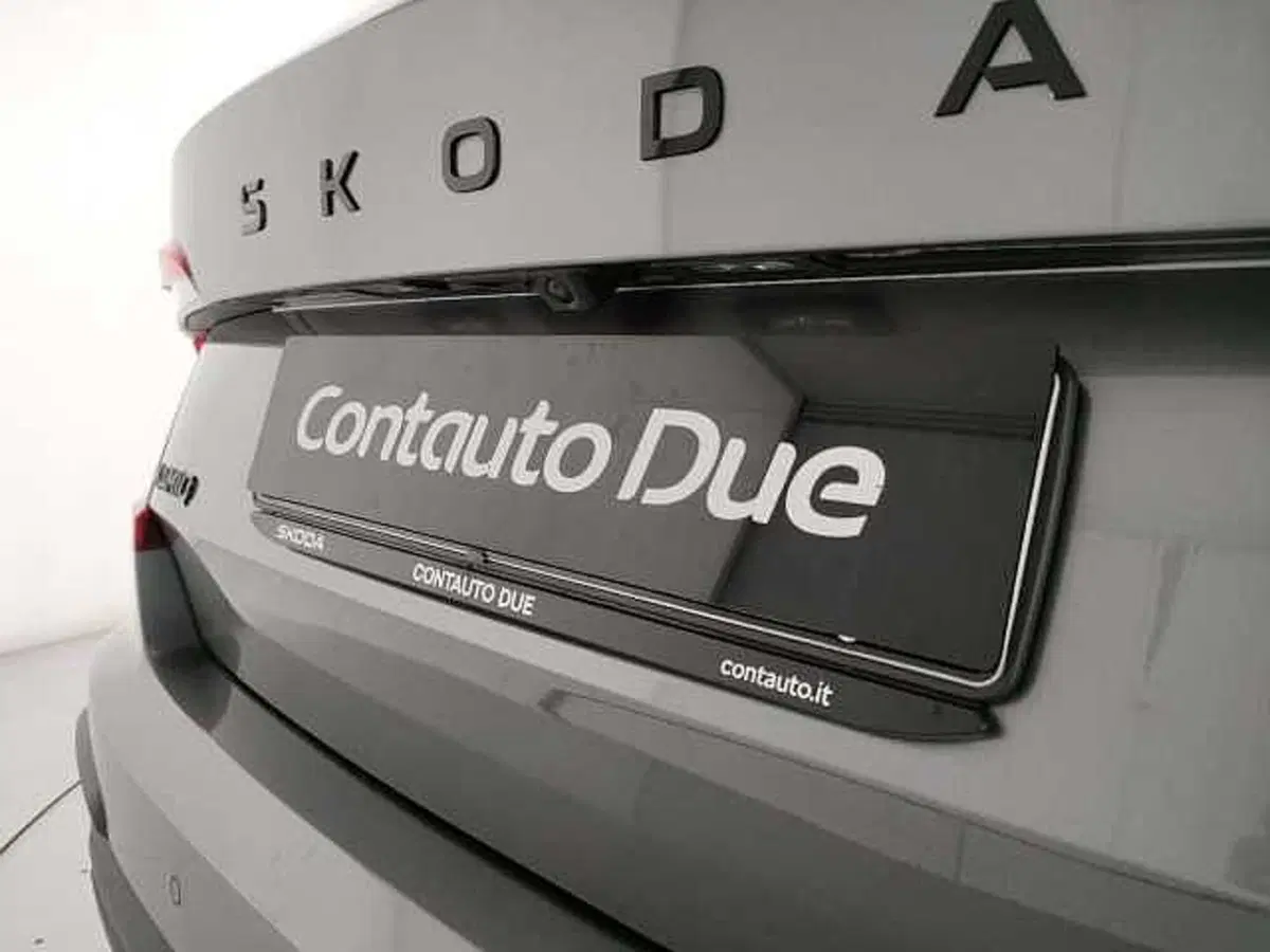 Skoda Kamiq usata a Caserta (13)