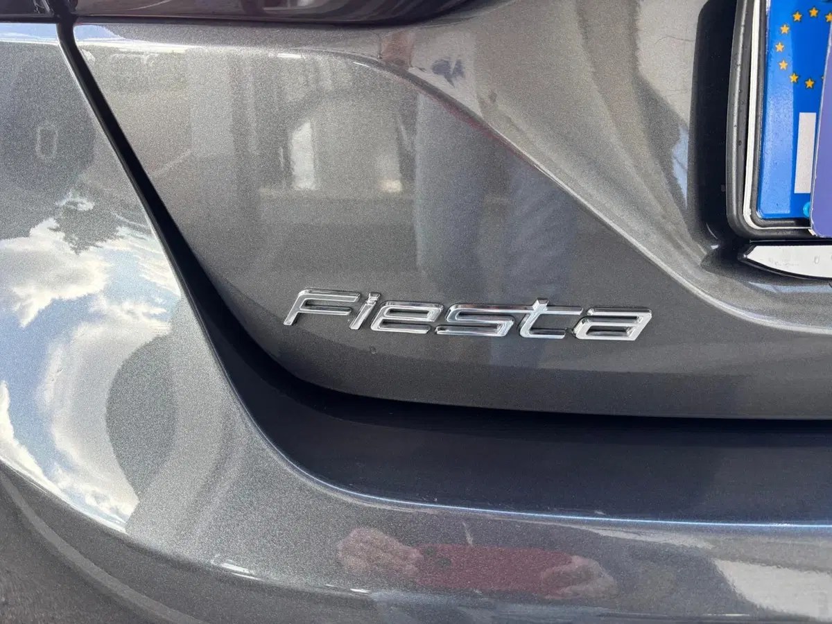 Ford Fiesta usata a Teramo (5)