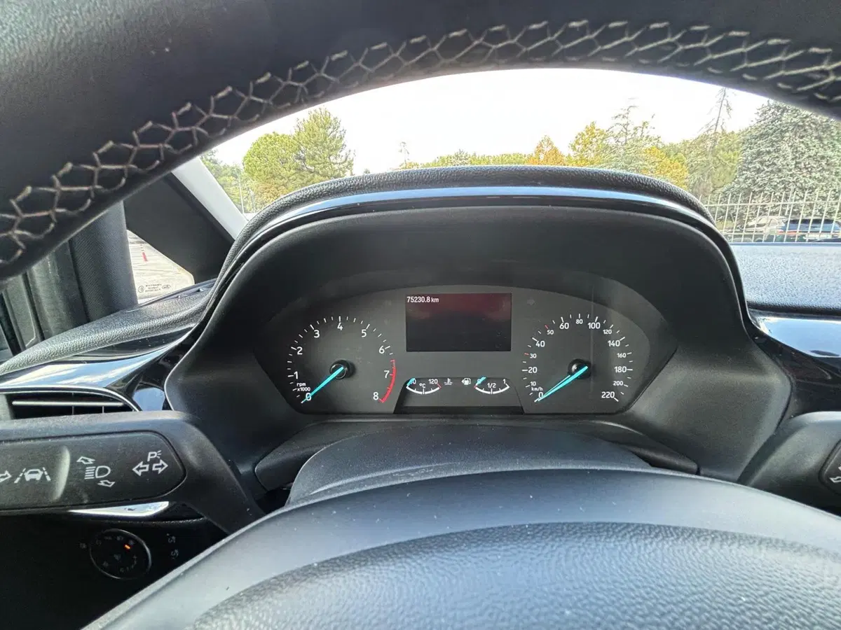 Ford Fiesta usata a Teramo (7)