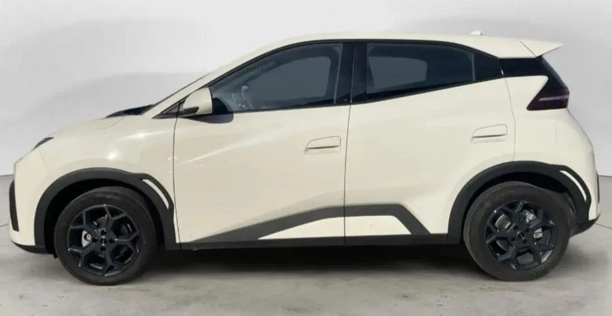 Byd Dolphin Surf nuova a Bologna (2)