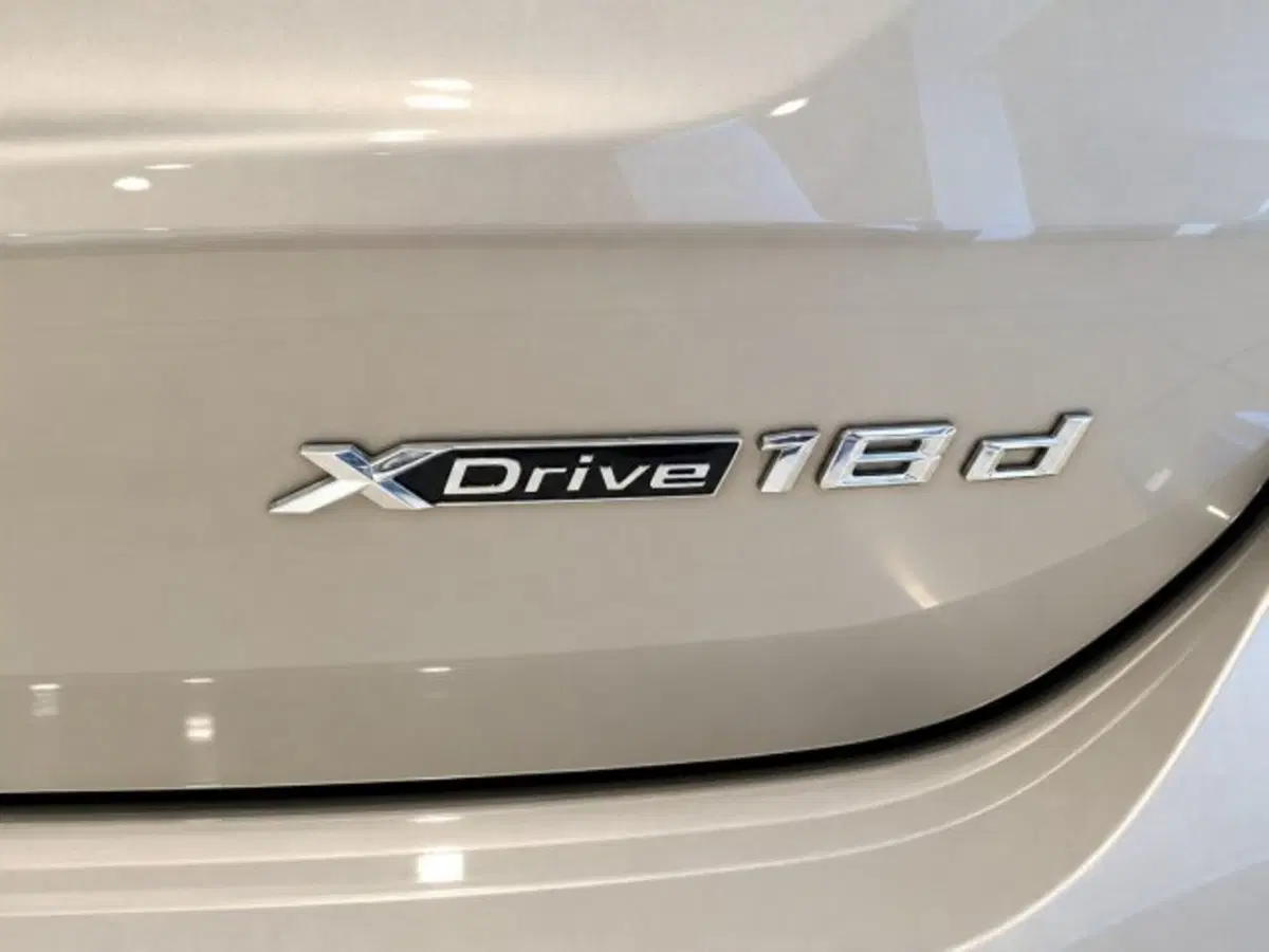 BMW X1 usata a Firenze (8)