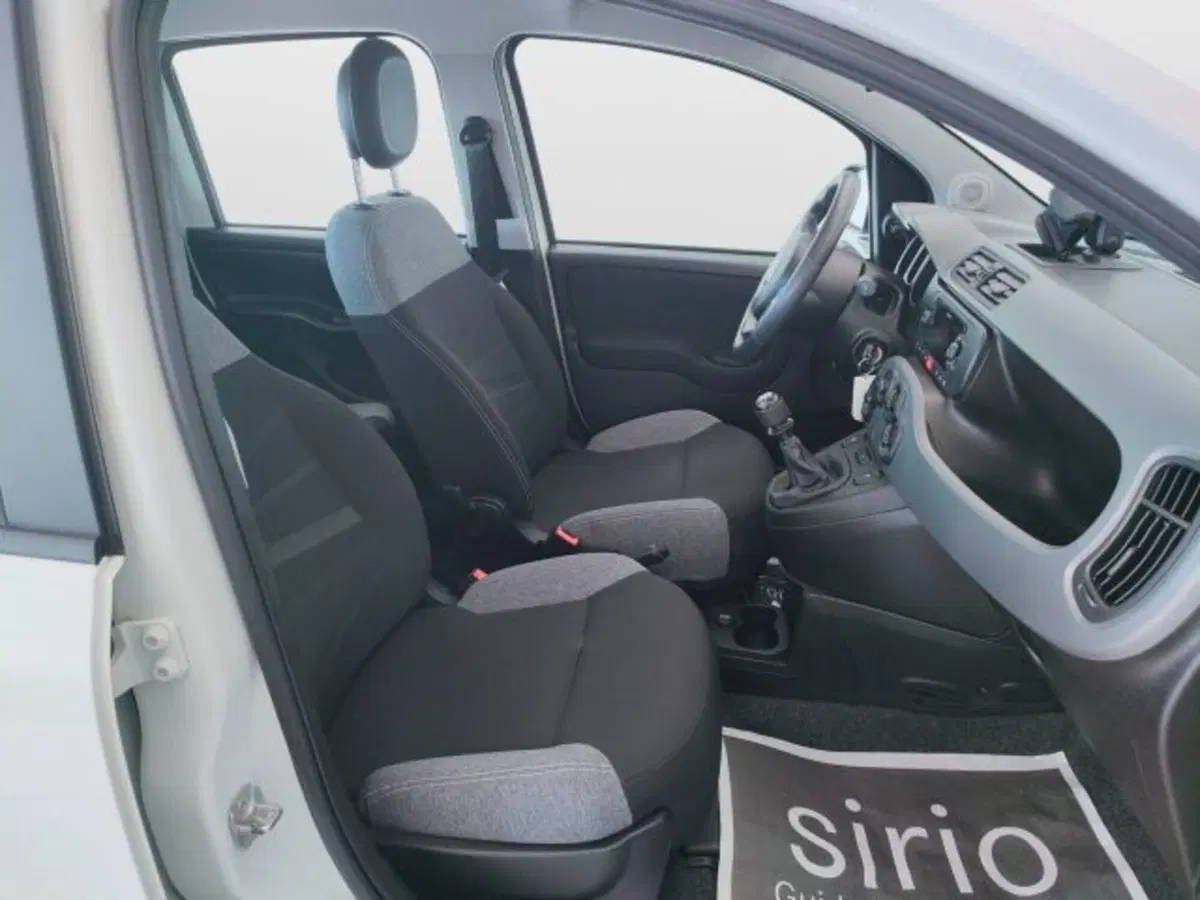 Fiat Panda usata a Teramo (11)