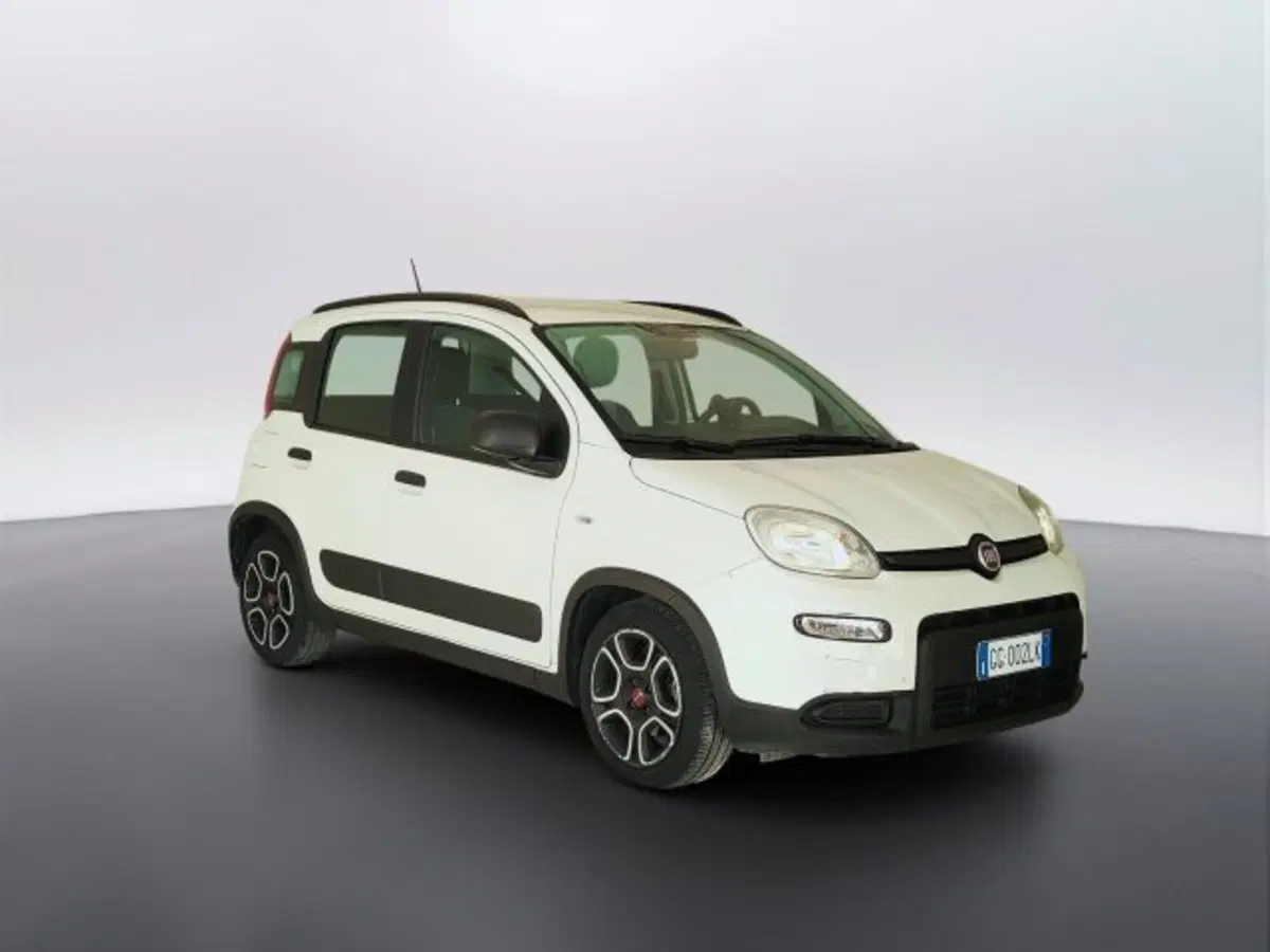 Fiat Panda usata a Teramo (3)