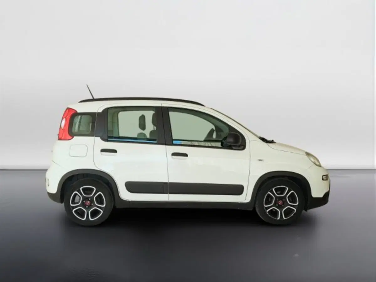 Fiat Panda usata a Teramo (4)