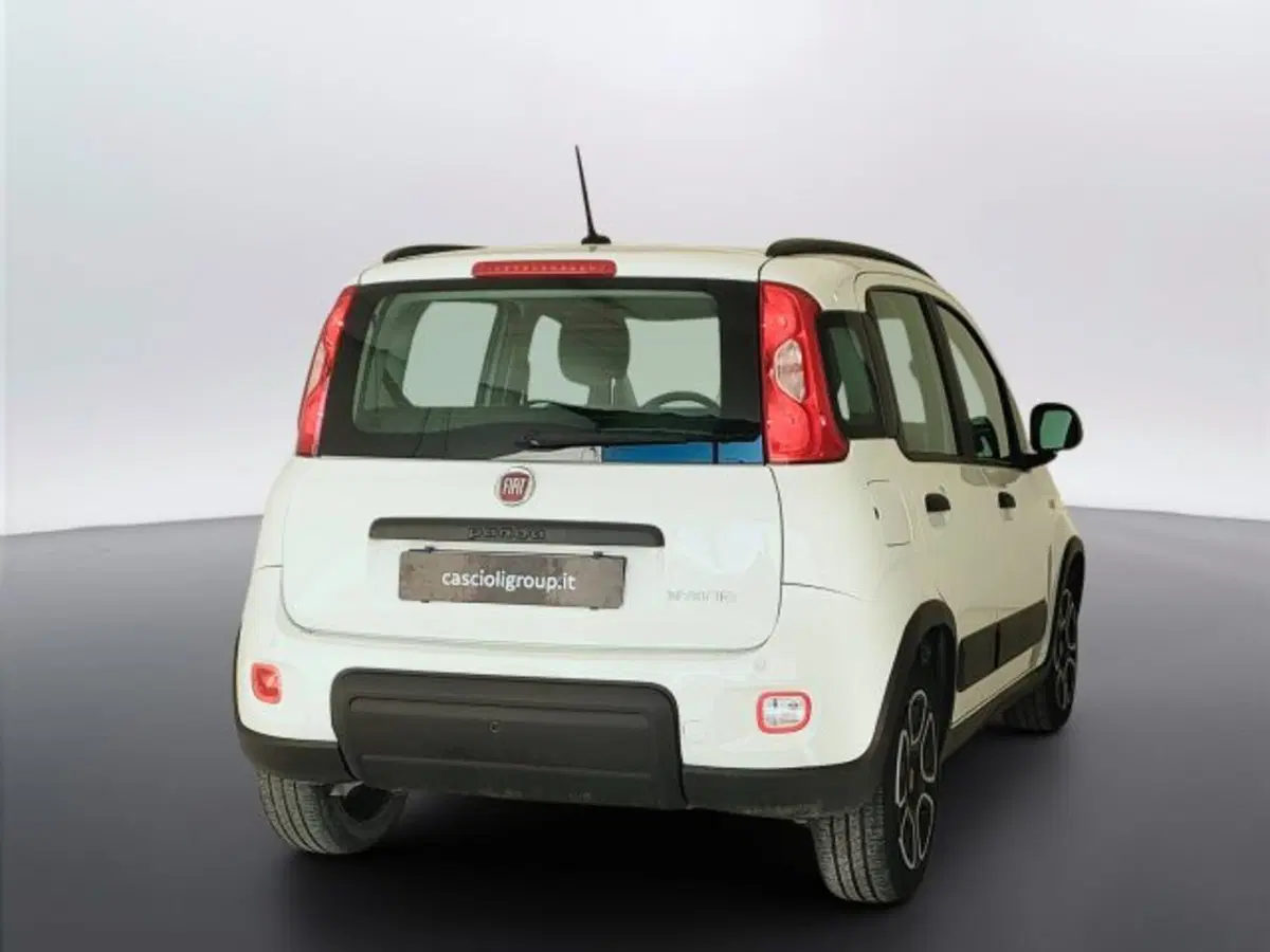 Fiat Panda usata a Teramo (5)