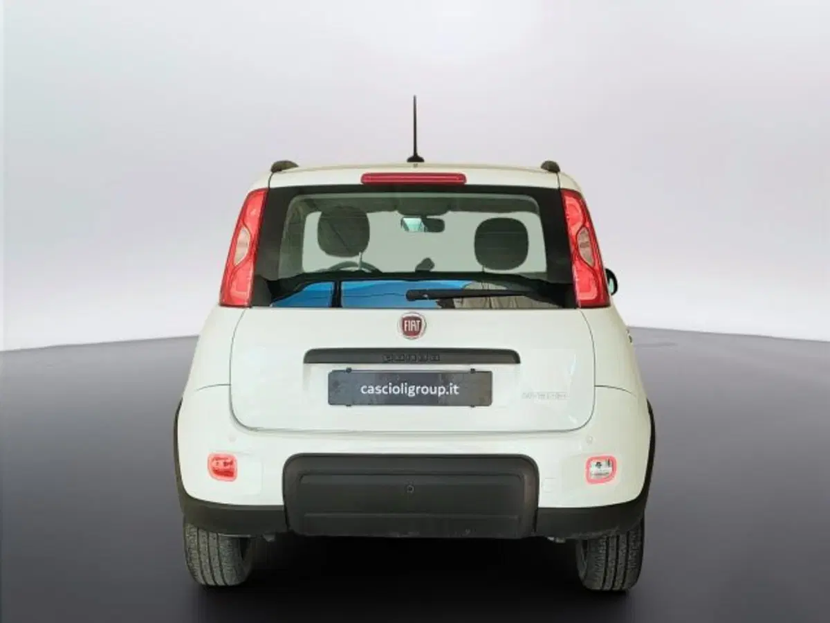 Fiat Panda usata a Teramo (6)