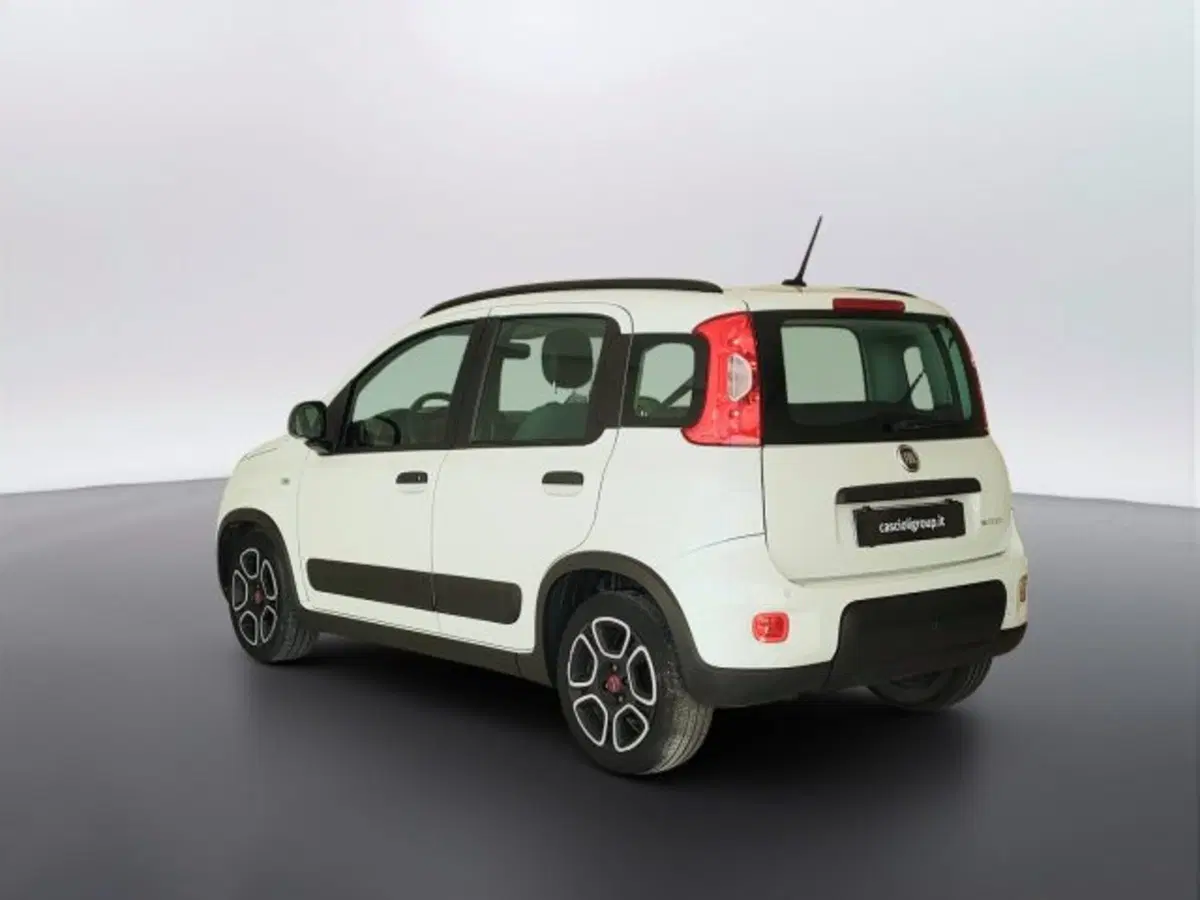 Fiat Panda usata a Teramo (7)