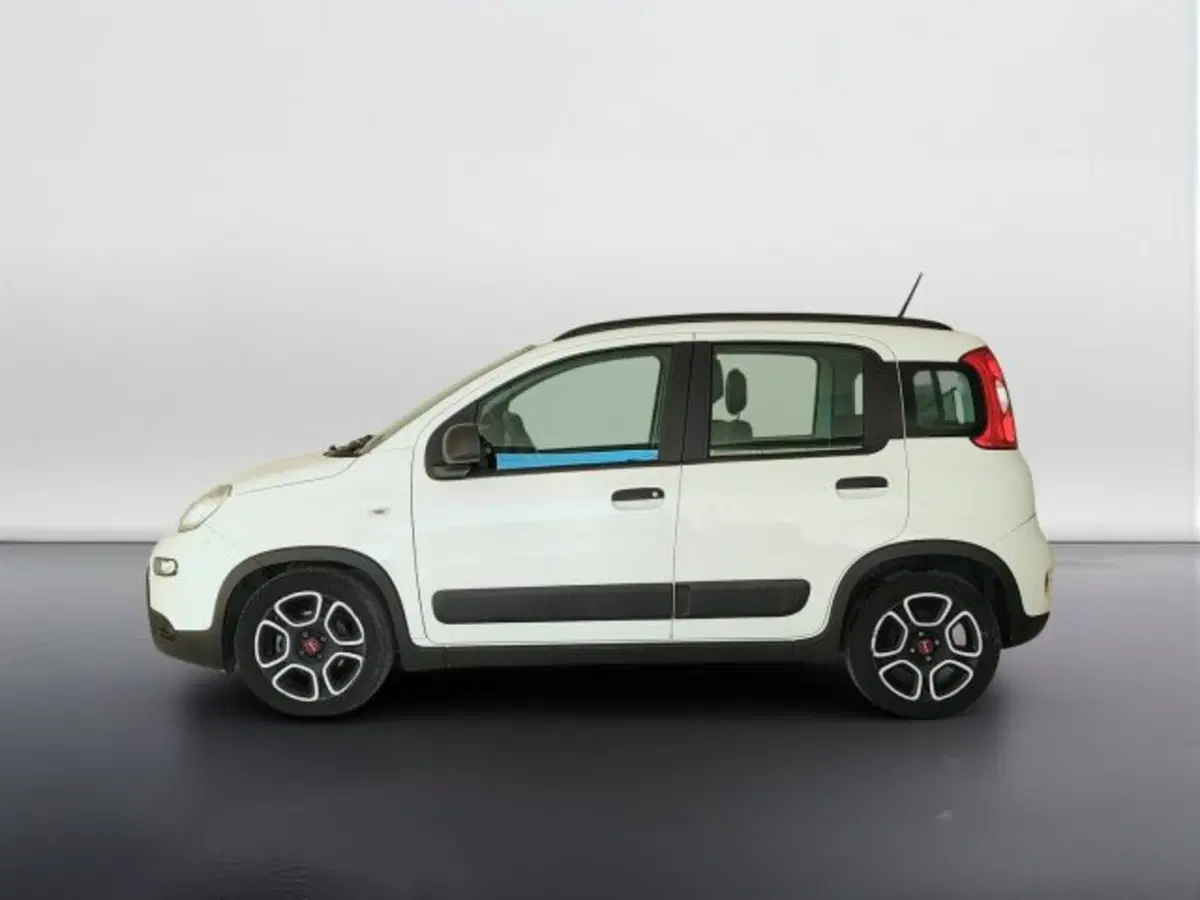 Fiat Panda usata a Teramo (8)